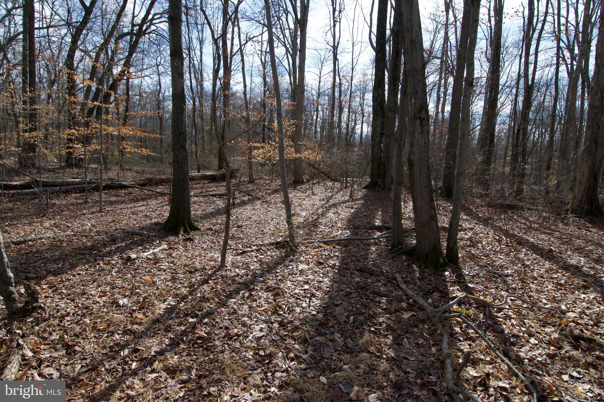 0 Carroll Clark Road Galena, MD 21635 - Photo 32 of 40