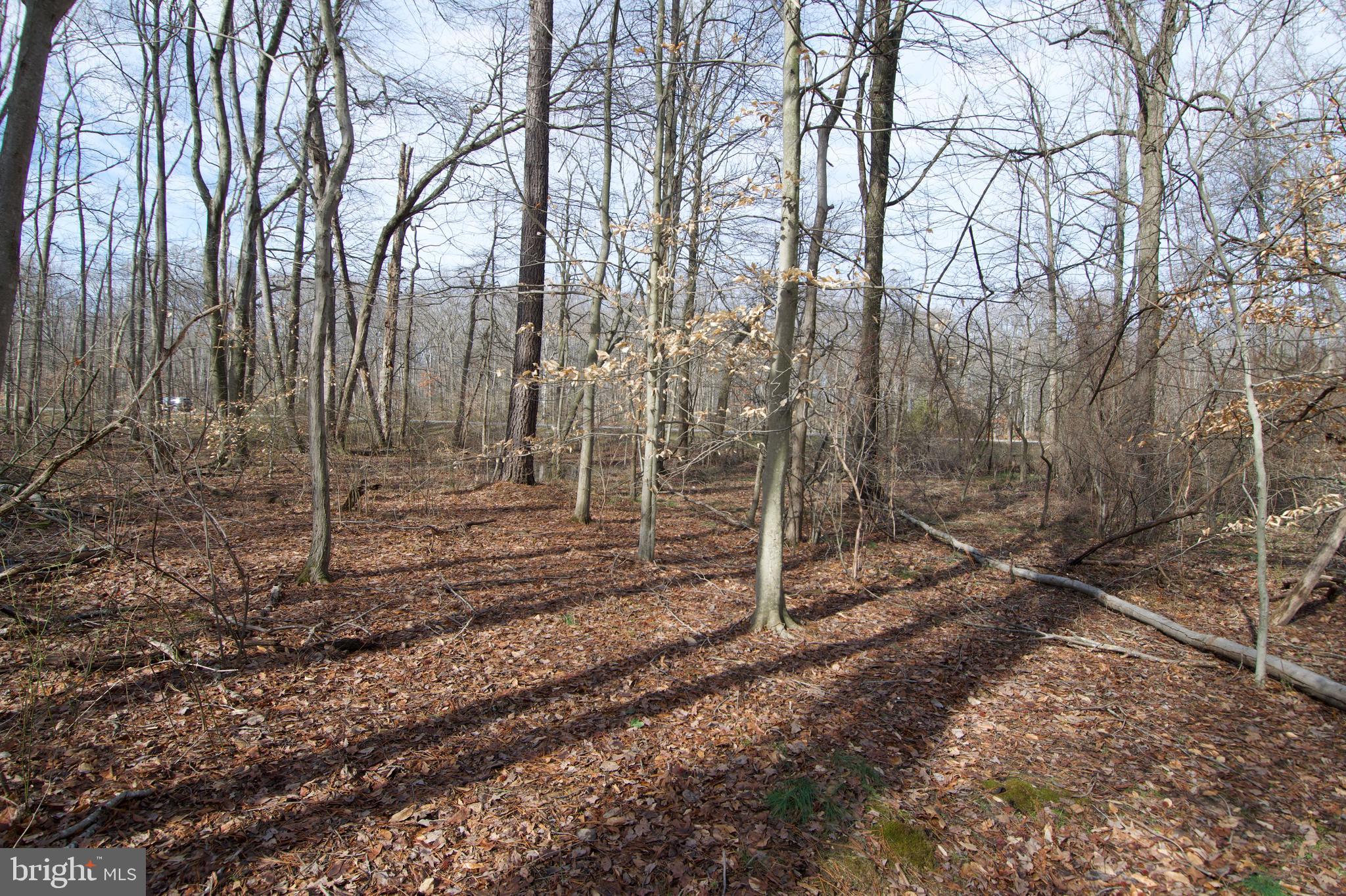 0 Carroll Clark Road Galena, MD 21635 - Photo 33 of 40