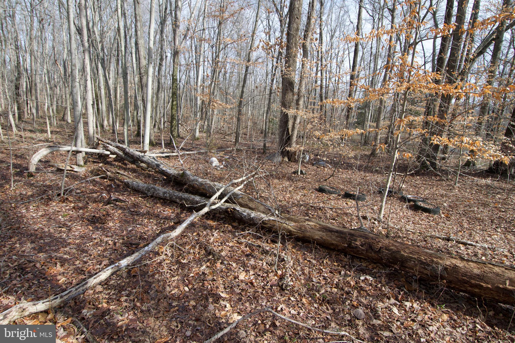 0 Carroll Clark Road Galena, MD 21635 - Photo 34 of 40