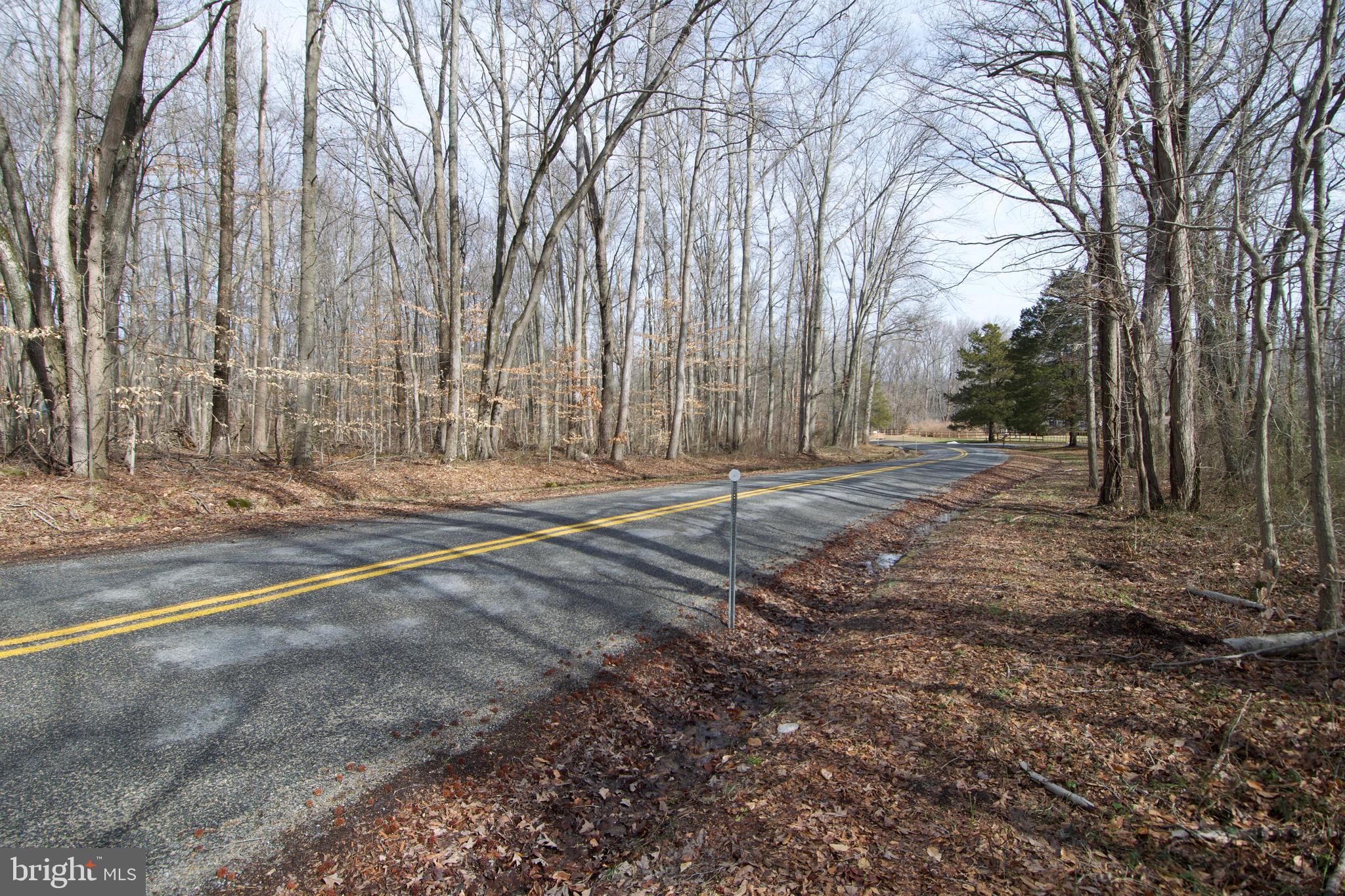 0 Carroll Clark Road Galena, MD 21635 - Photo 35 of 40