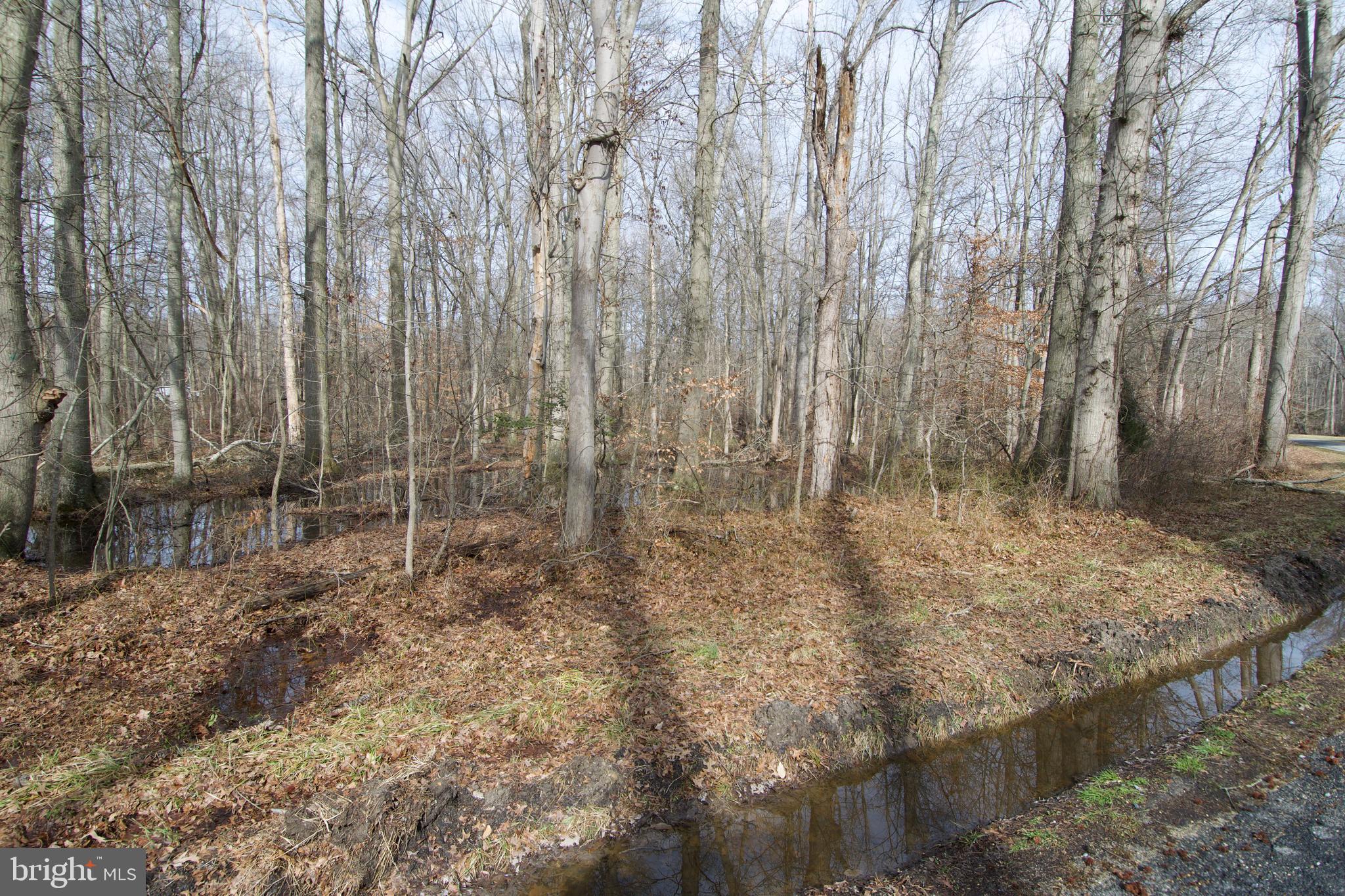 0 Carroll Clark Road Galena, MD 21635 - Photo 36 of 40