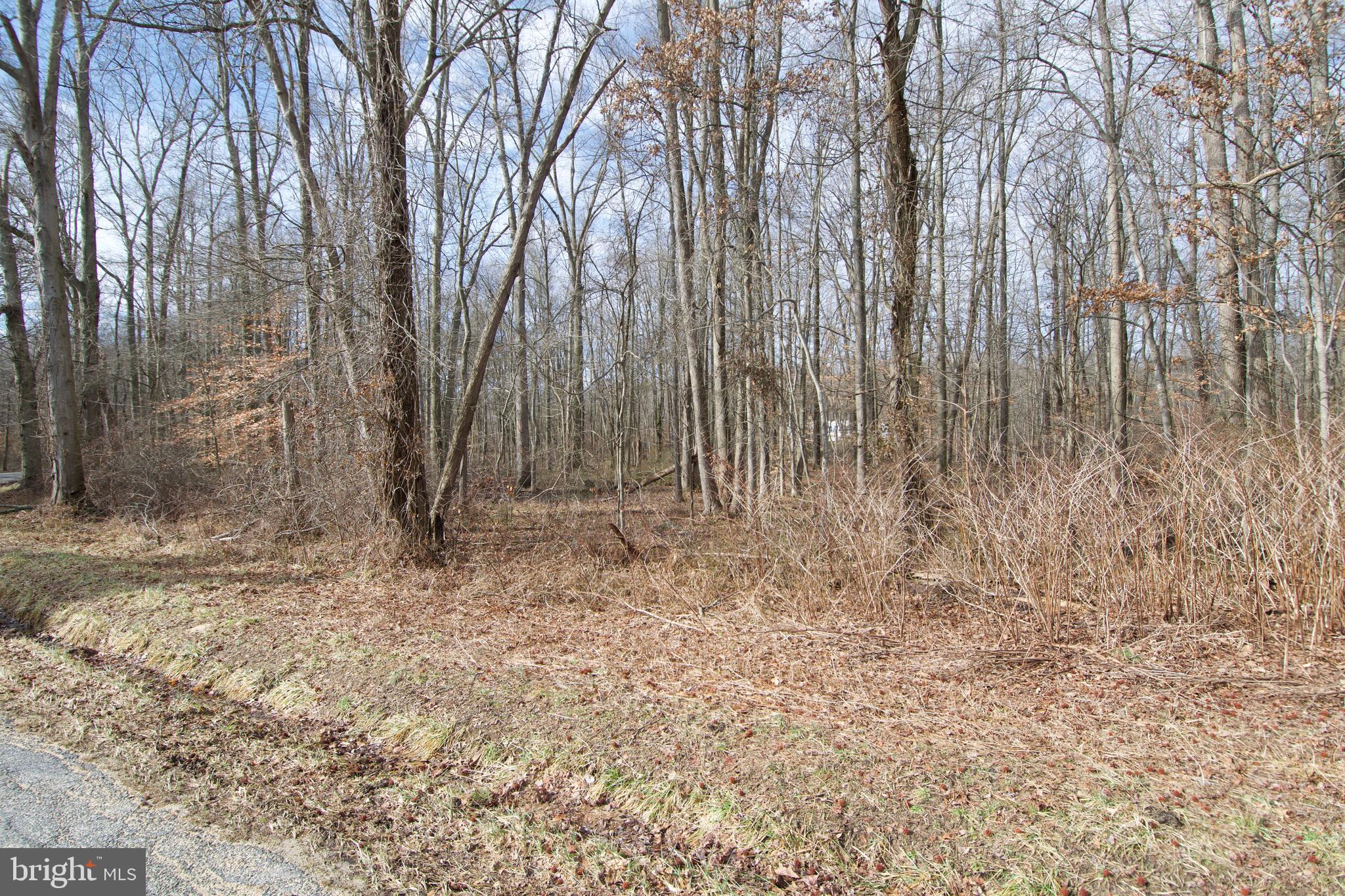 0 Carroll Clark Road Galena, MD 21635 - Photo 39 of 40