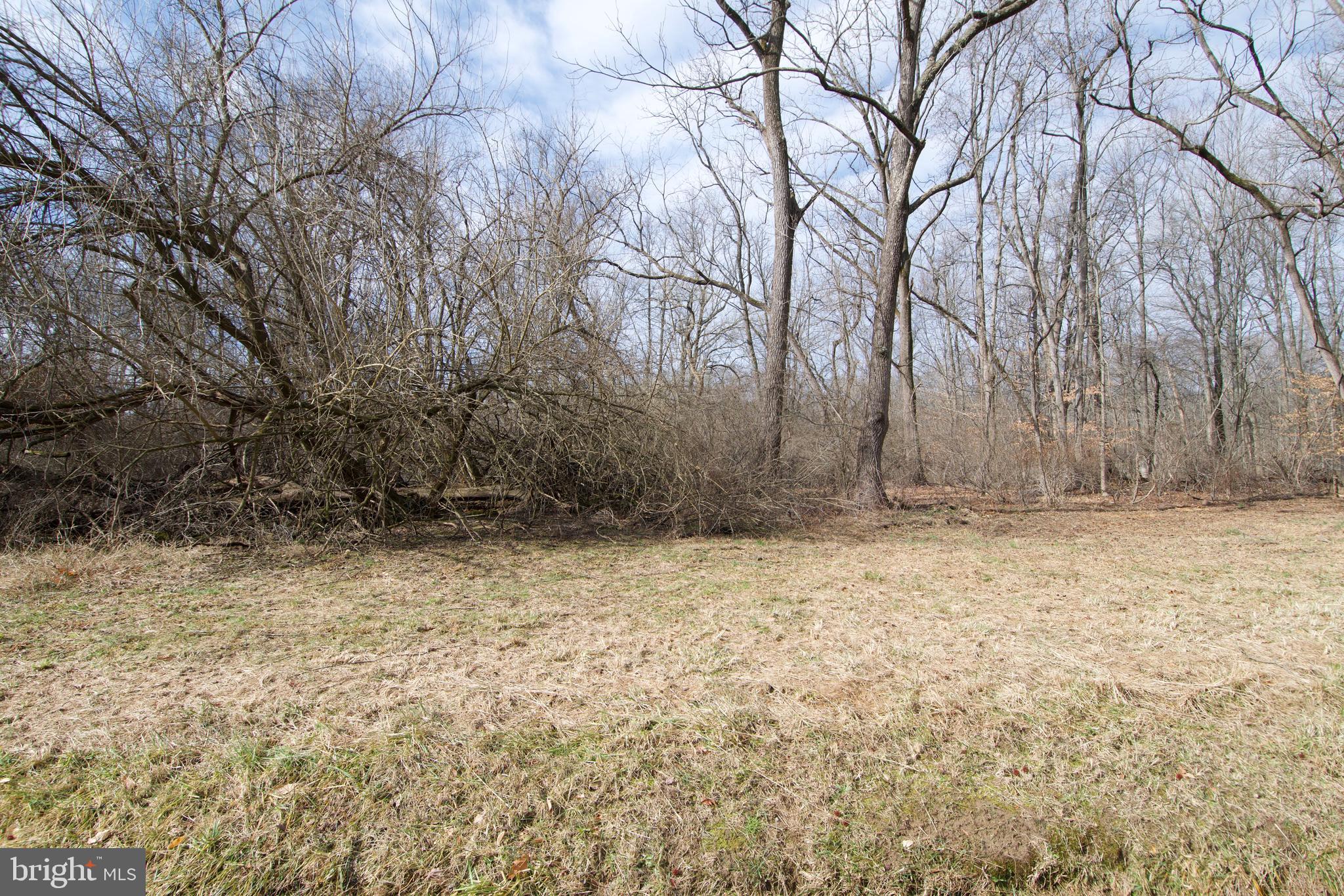 0 Carroll Clark Road Galena, MD 21635 - Photo 40 of 40