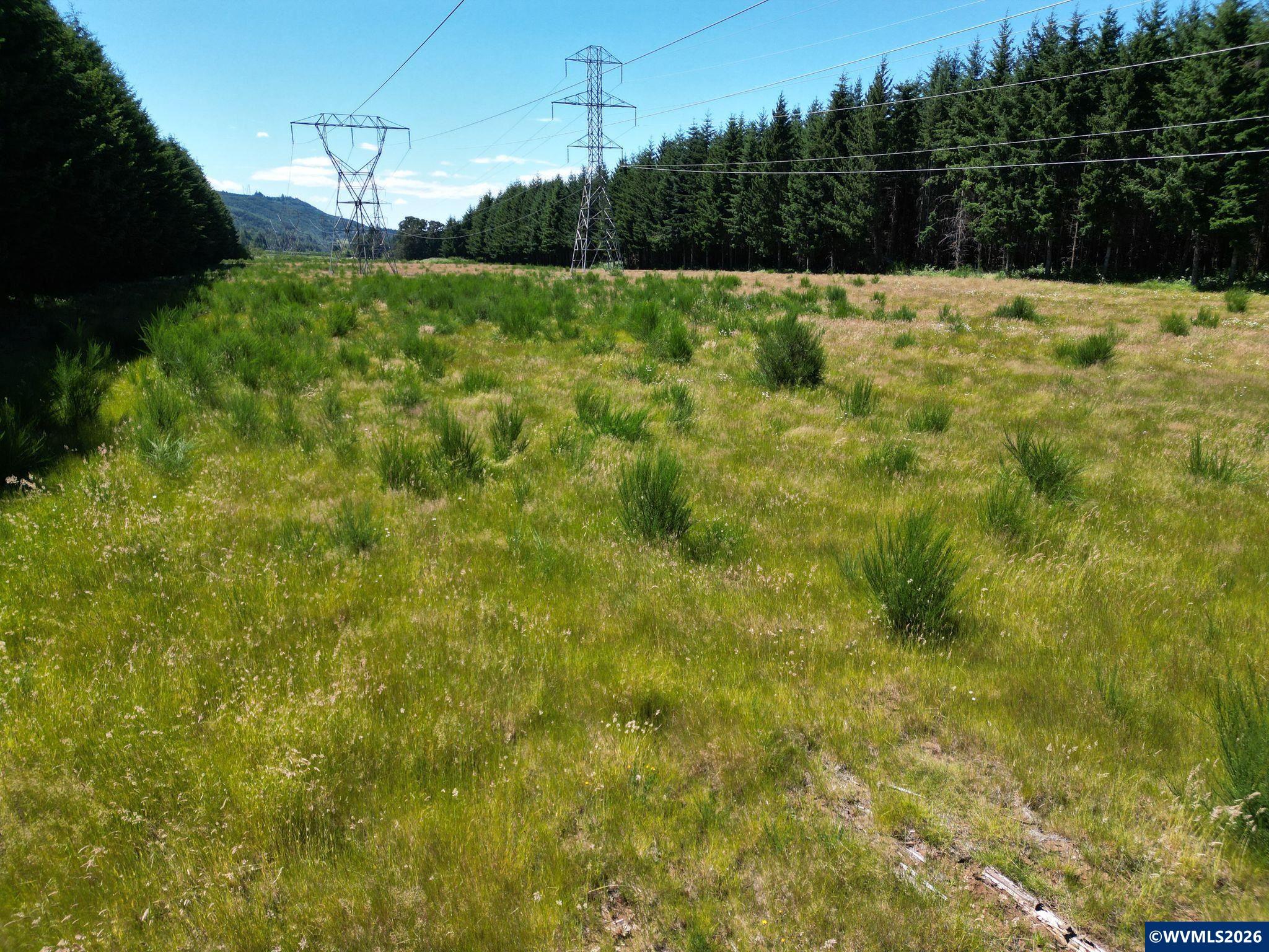 2702-2703 South Cedar Mill Road Lyons, OR 97358 - Photo 16 of 17