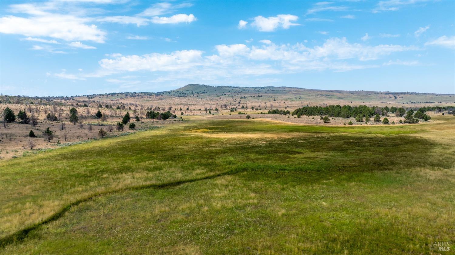 0 Cold Springs Road Ravendale, CA 96123 - Photo 12 of 24