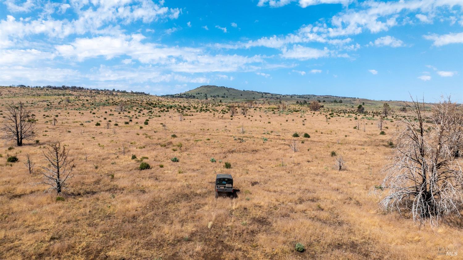 0 Cold Springs Road Ravendale, CA 96123 - Photo 15 of 24