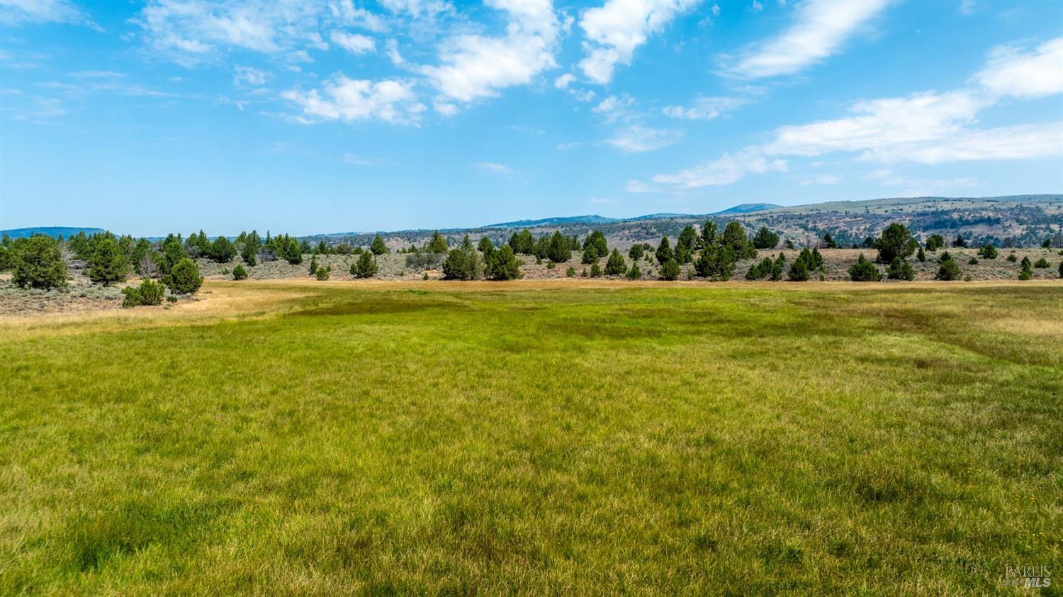 0 Cold Springs Road Ravendale, CA 96123 - Photo 2 of 24