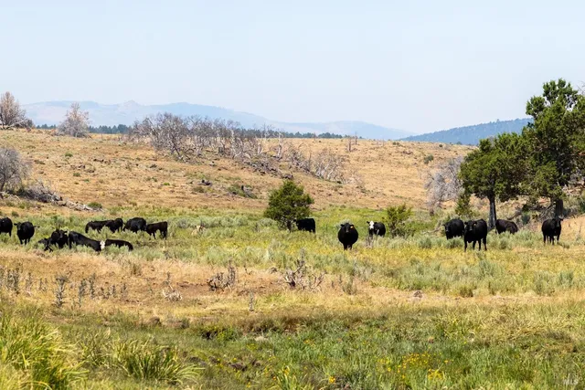 $1,200,000 | 0 Cold Springs Road, Ravendale, CA 96123