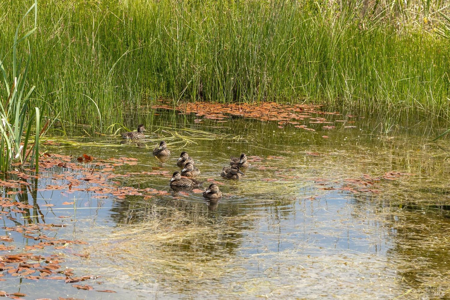 0 Cold Springs Road Ravendale, CA 96123 - Photo 4 of 24