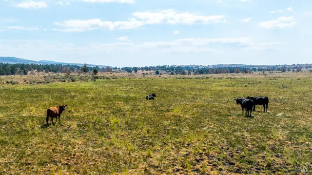 $1,200,000 | 0 Cold Springs Road, Ravendale, CA 96123