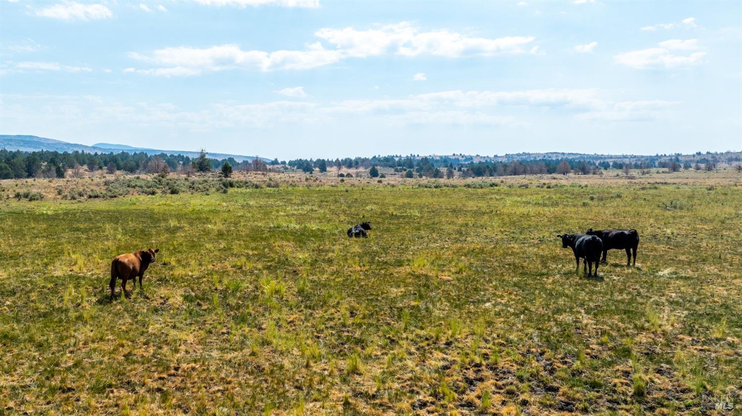 0 Cold Springs Road Ravendale, CA 96123 - Photo 5 of 24