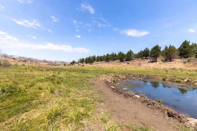 $1,200,000 | 0 Cold Springs Road, Ravendale, CA 96123