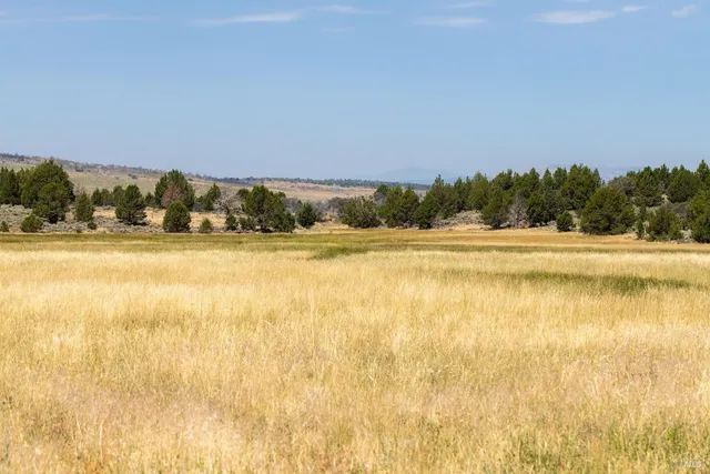 $1,200,000 | 0 Cold Springs Road, Ravendale, CA 96123