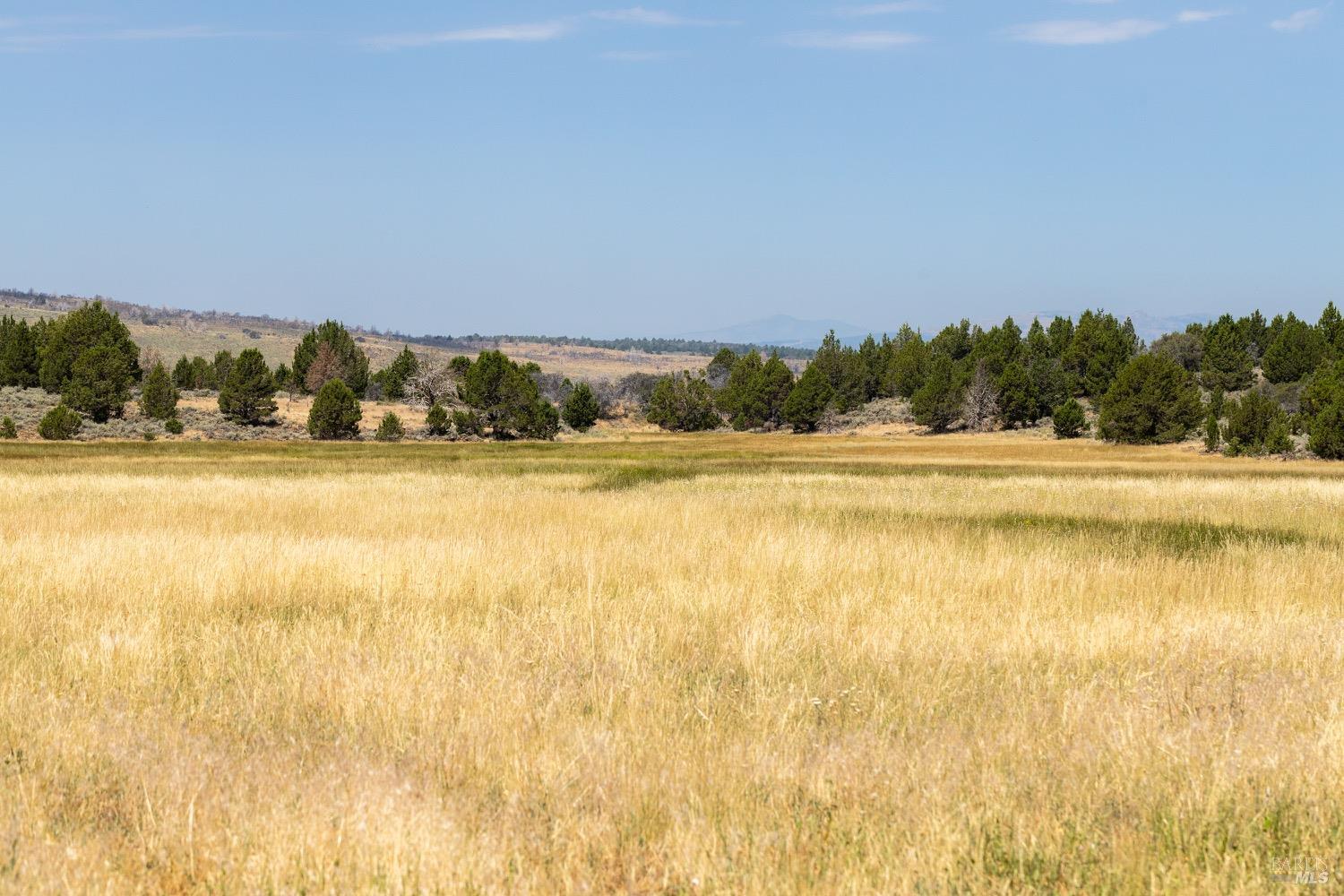 0 Cold Springs Road Ravendale, CA 96123 - Photo 9 of 24