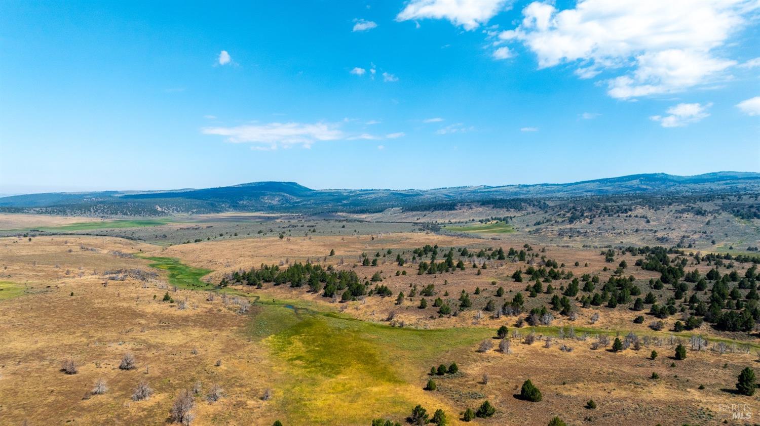 0 Cold Springs Road Ravendale, CA 96123 - Photo 10 of 24