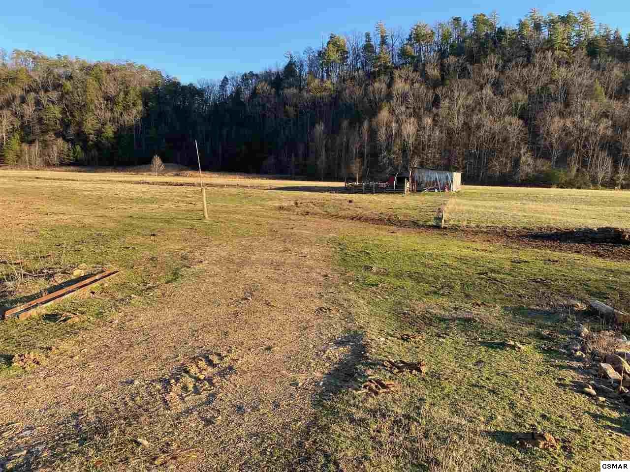 0 Waldens Creek Road Sevierville, TN 37862 - Photo 4 of 8