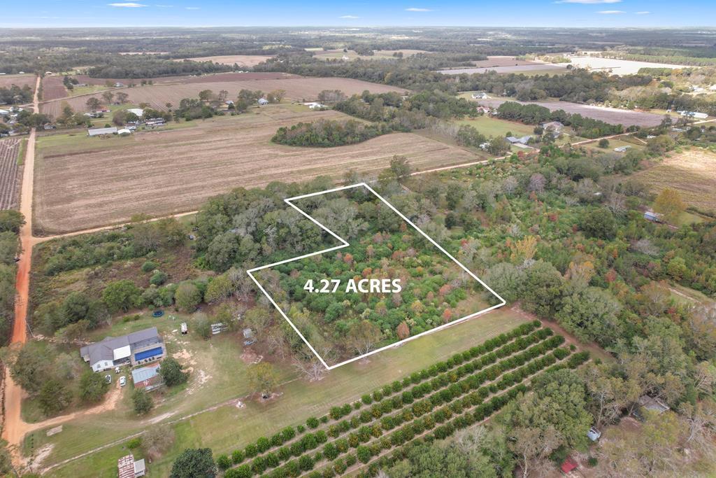 4.27-acres Cohen Road Slocomb, AL 36375 - Photo 2 of 3