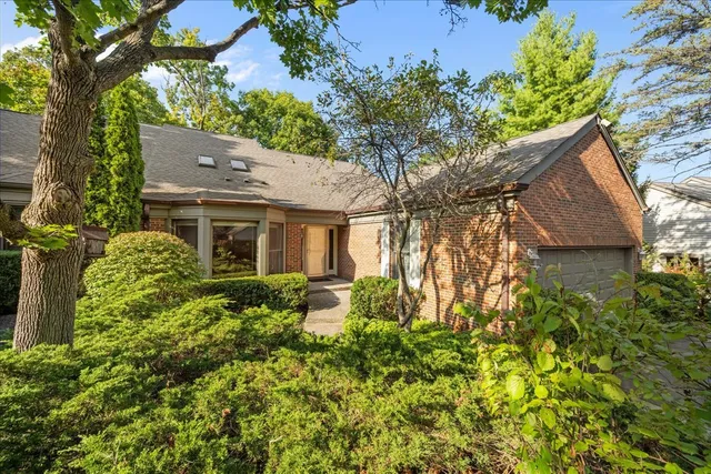 front view of a house with a large tree