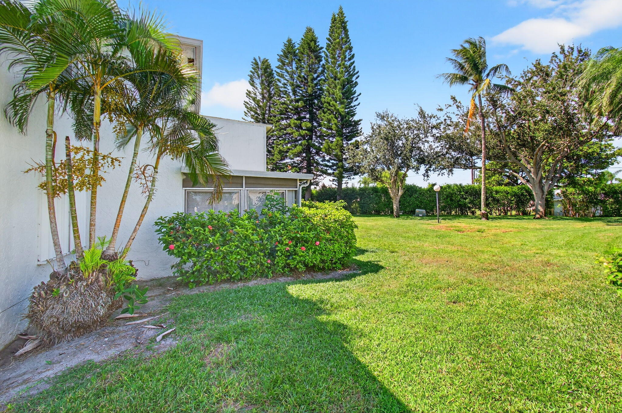 2825 Southwest 13th Street, Unit 204 Delray Beach, FL 33445 - Photo 43 of 62 a view of a garden with a tree