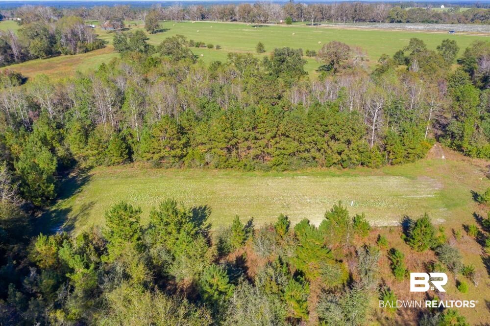 5469 County Road 55 Florala, AL 36442 - Photo 42 of 49