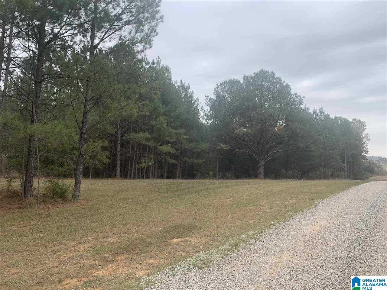 0 Homestead Drive, Unit 1 Springville, AL 35146 - Photo 30 of 32