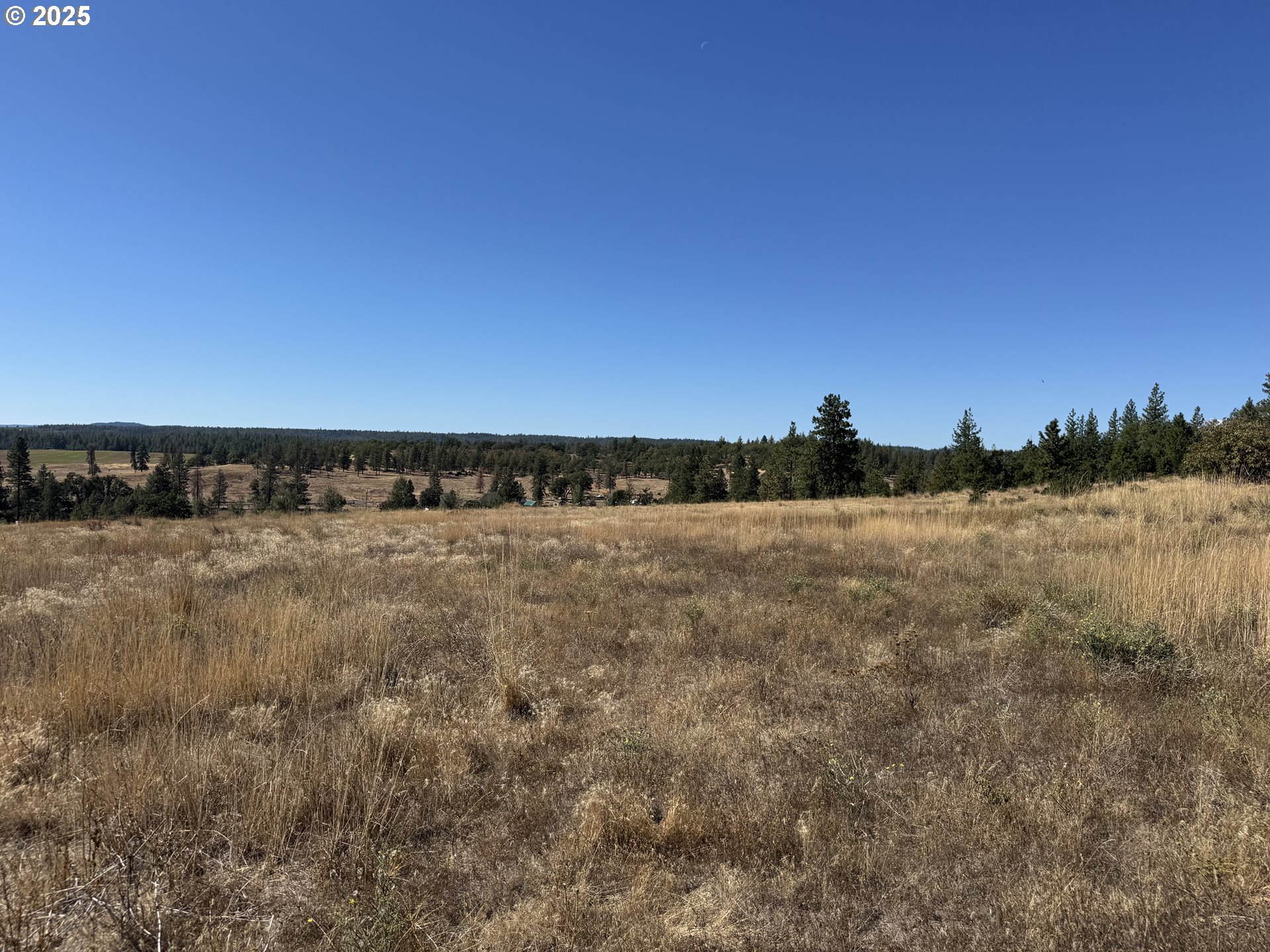 Nka Tegan Road Goldendale, WA 98620 - Photo 13 of 18 Gallery Image 13