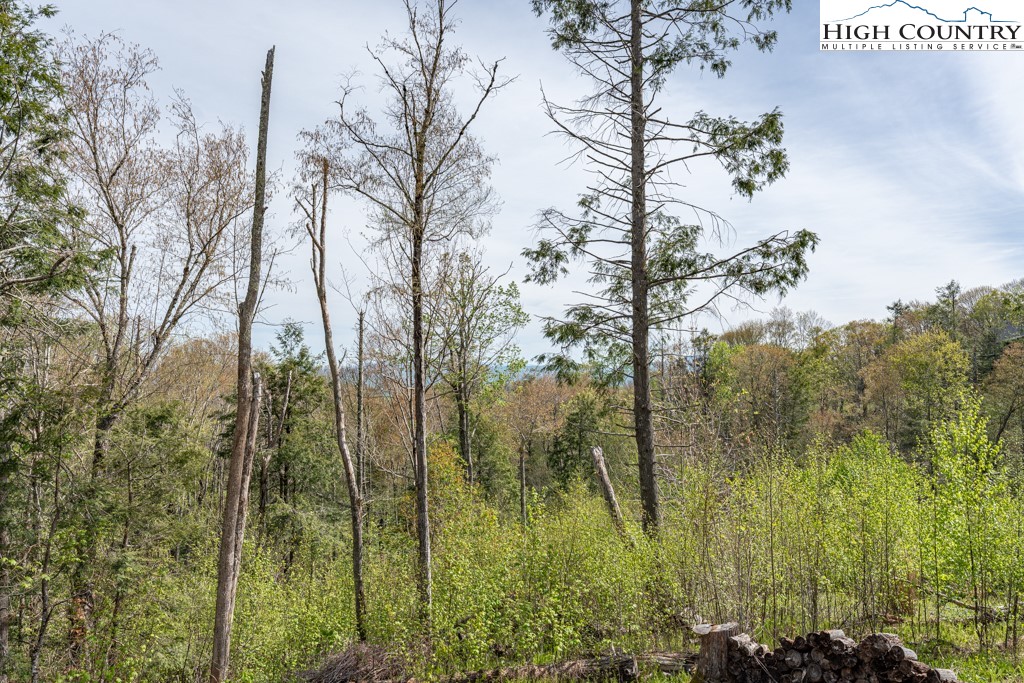 77 Eagles Nest Trail Banner Elk, NC 28604 - Photo 12 of 44