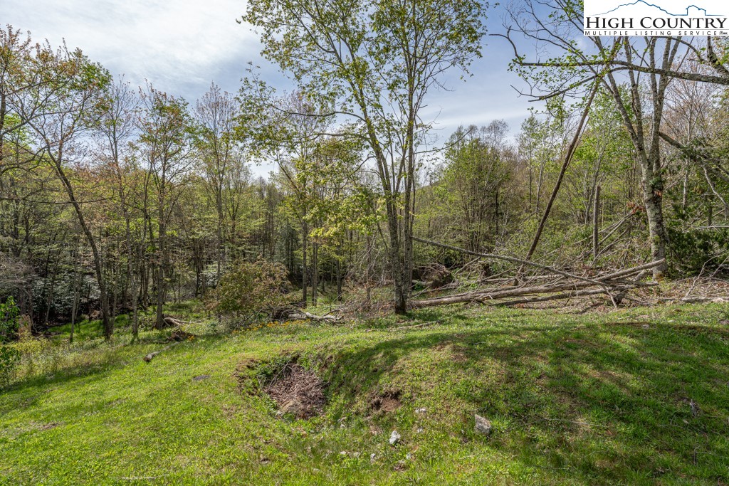 77 Eagles Nest Trail Banner Elk, NC 28604 - Photo 16 of 44 a view of a yard with a tree