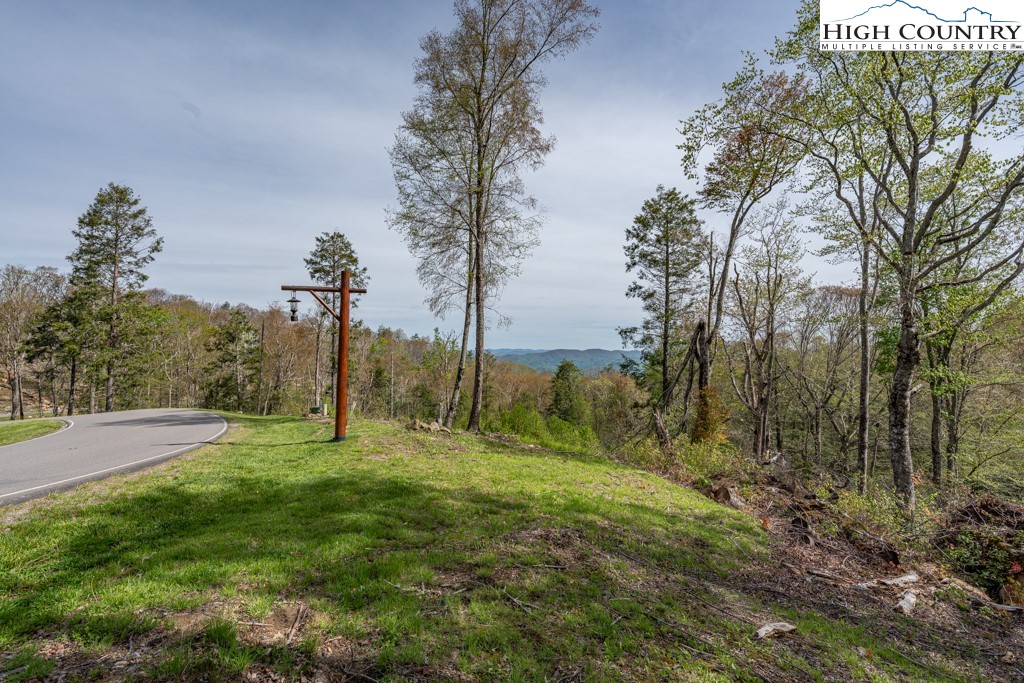 77 Eagles Nest Trail Banner Elk, NC 28604 - Photo 18 of 44 a view of a yard with a tree
