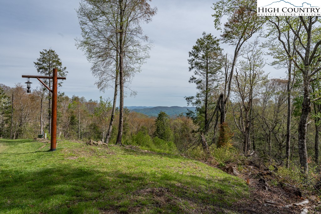 77 Eagles Nest Trail Banner Elk, NC 28604 - Photo 19 of 44 a view of a forest with a tree