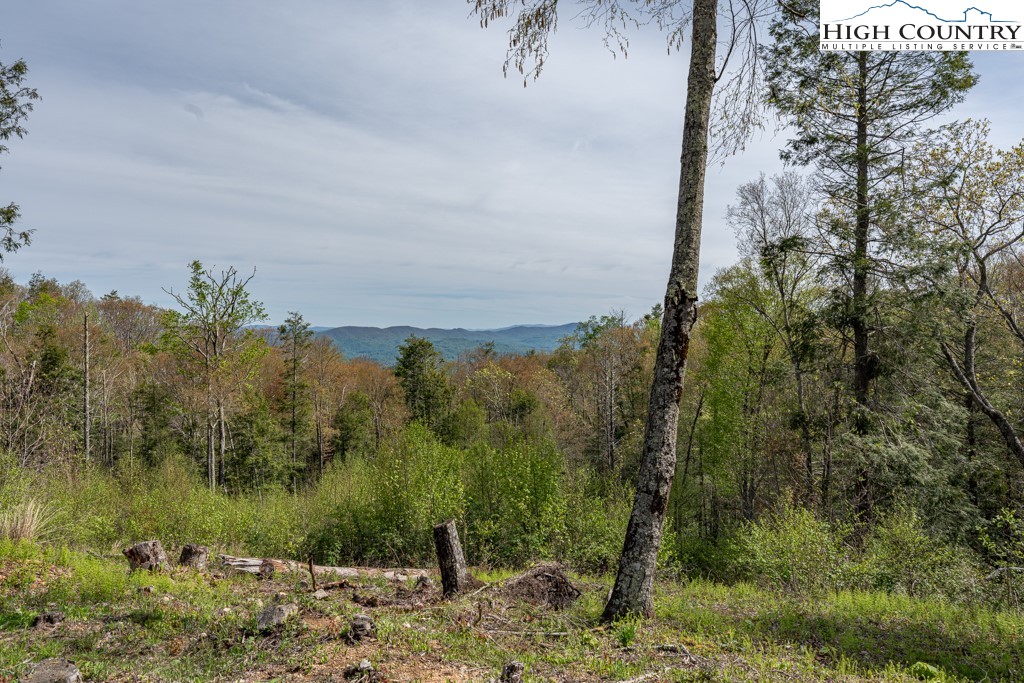 77 Eagles Nest Trail Banner Elk, NC 28604 - Photo 20 of 44 a view of a lake with a mountain in the background
