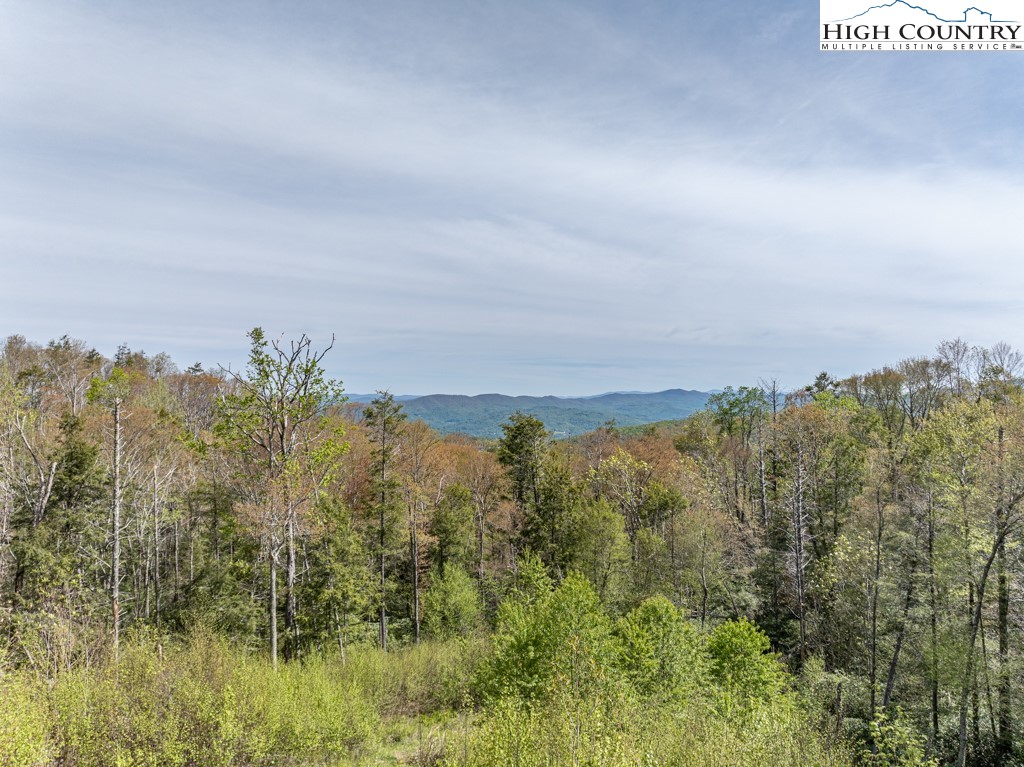 77 Eagles Nest Trail Banner Elk, NC 28604 - Photo 23 of 44 a view of a city