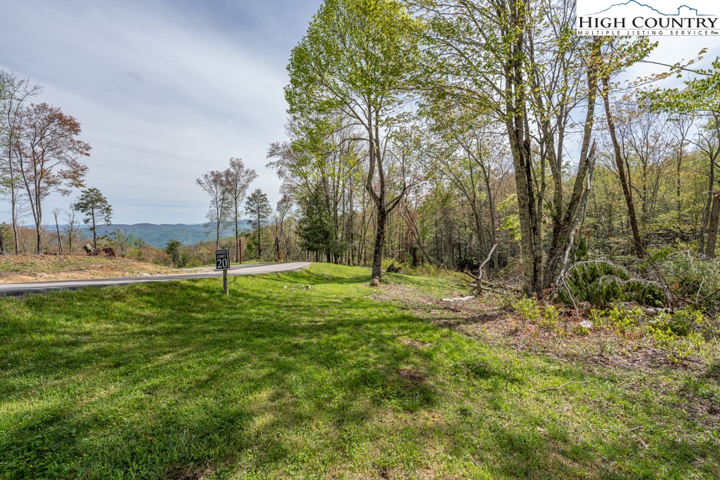 77 Eagles Nest Trail Banner Elk, NC 28604 - Photo 4 of 44 a view of backyard with tree