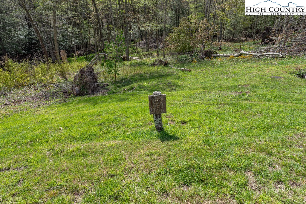 77 Eagles Nest Trail Banner Elk, NC 28604 - Photo 9 of 44 a lush green forest with lots of trees