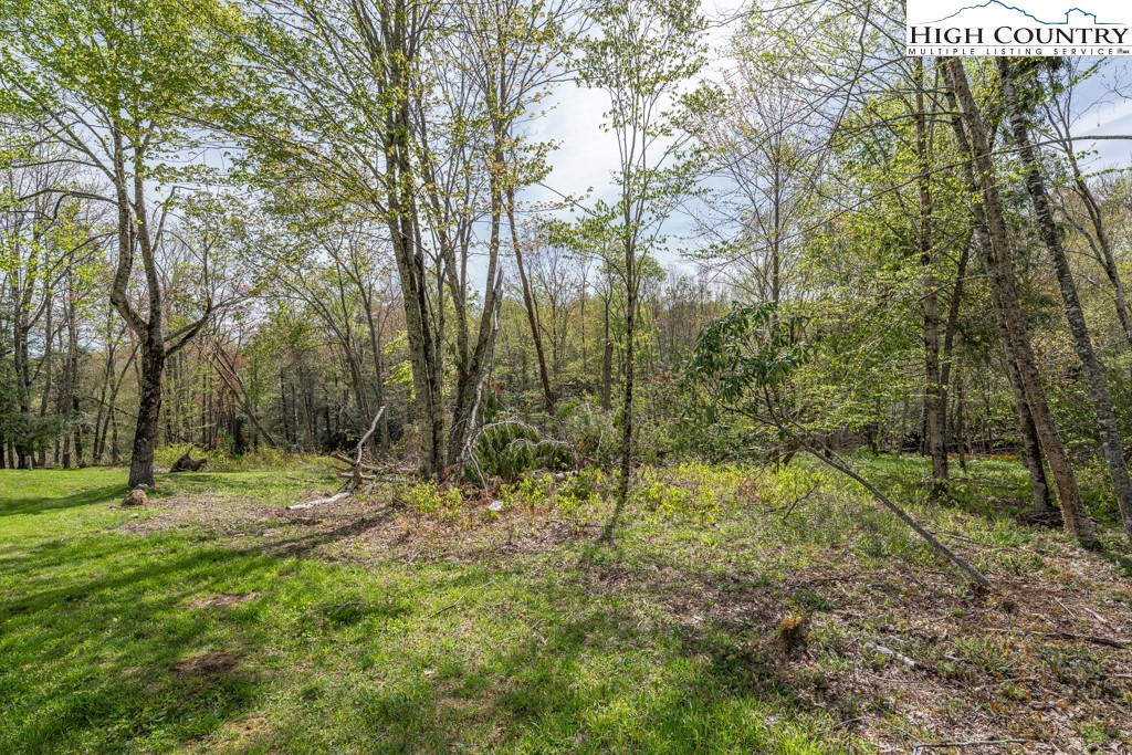 77 Eagles Nest Trail Banner Elk, NC 28604 - Photo 10 of 44 a view of outdoor space with trees