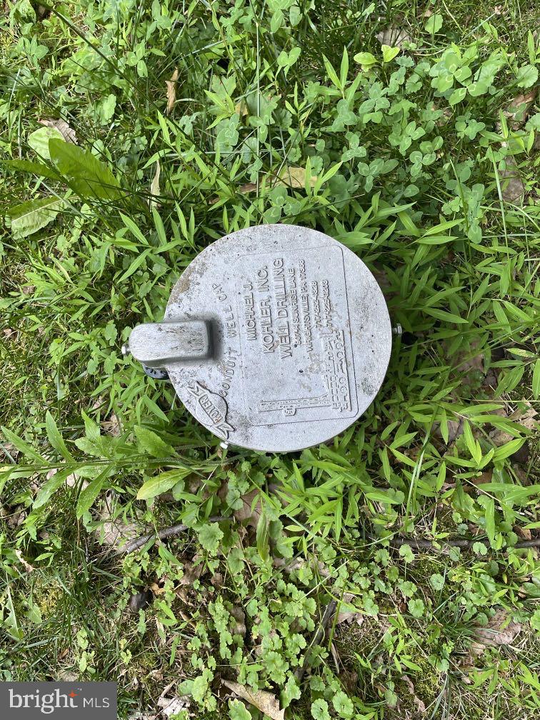 604 Rocky Ridge Road Spring Grove, PA 17362 - Photo 5 of 47 Utility access point in lush greenery.