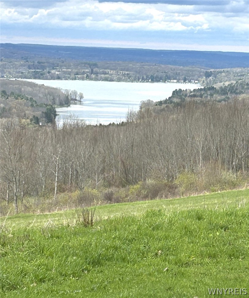 7689 Slusher Hill Road New Hudson, NY 14717 - Photo 3 of 14