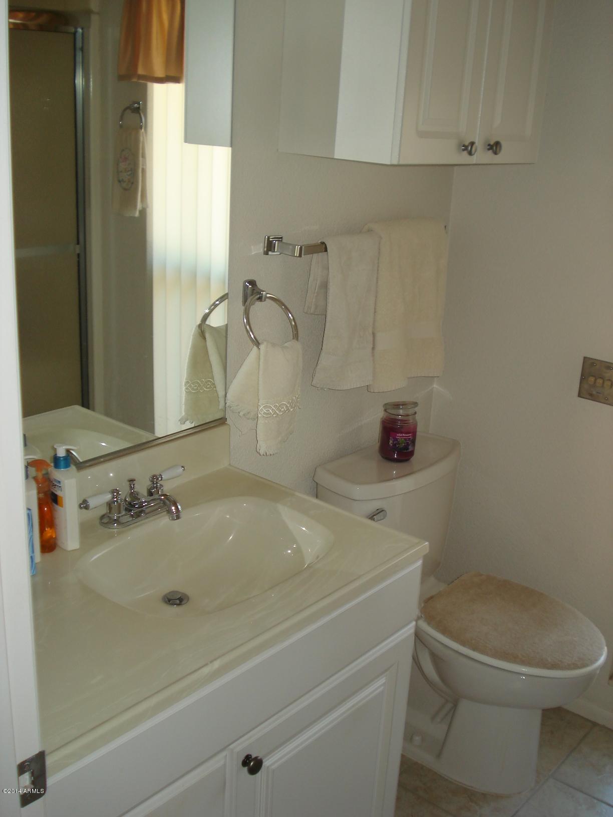 15472 North Ridgeview Road Sun City, AZ 85351 - Photo 43 of 47 Master Bath