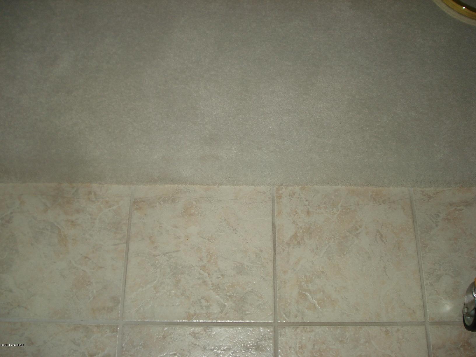 15472 North Ridgeview Road Sun City, AZ 85351 - Photo 46 of 47 Flooring in House