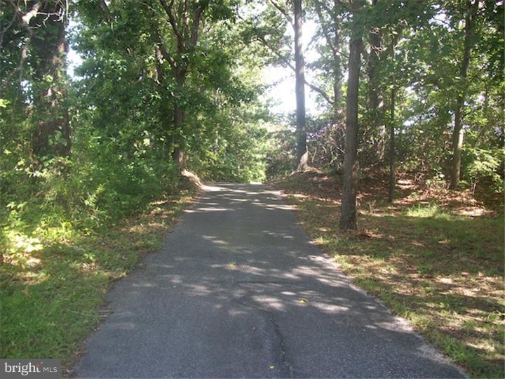58 Reeves Road Bridgeton, NJ 08302 - Photo 3 of 19 Driveway