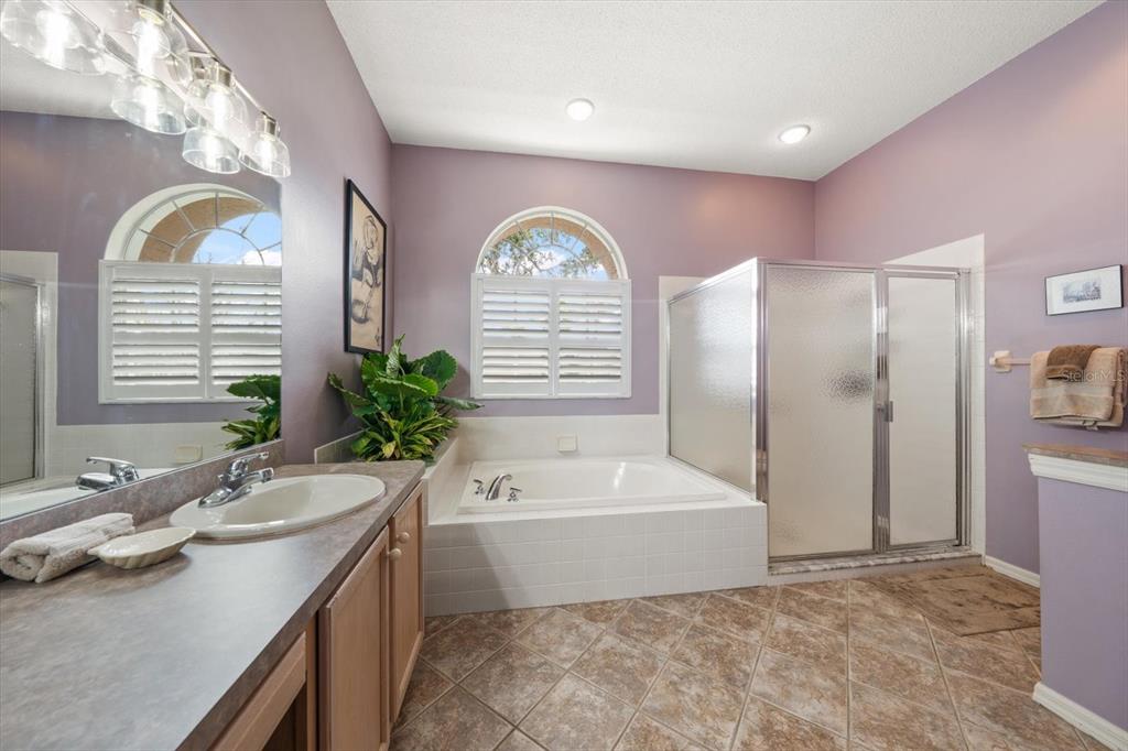 1237 Rambling Vine Court Trinity, FL 34655 - Photo 11 of 76