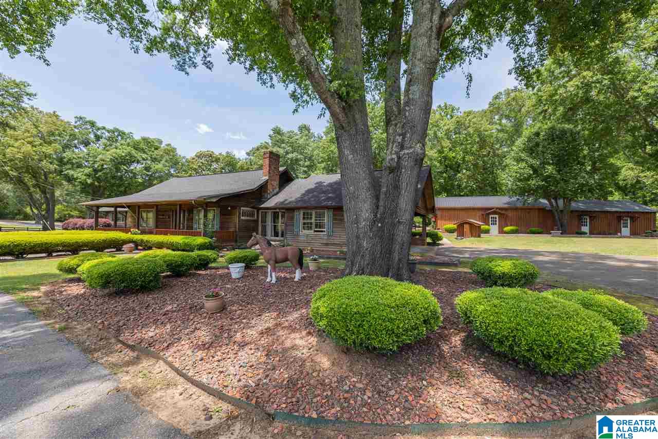 5360 McElderry Road North Munford, AL 36268 - Photo 5 of 45