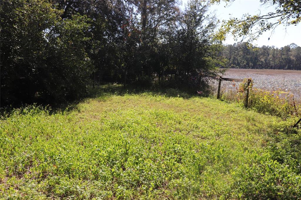 14150 Northeast 110th Avenue Road Fort McCoy, FL 32134 - Photo 4 of 15