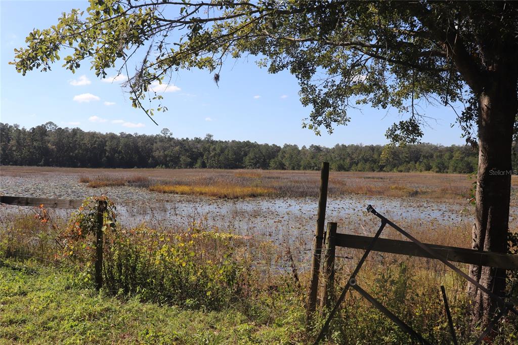 14150 Northeast 110th Avenue Road Fort McCoy, FL 32134 - Photo 5 of 15