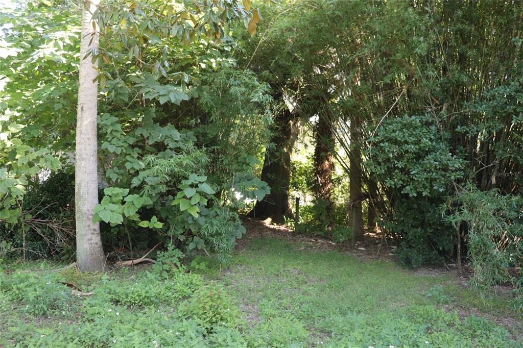 14150 Northeast 110th Avenue Road Fort McCoy, FL 32134 - Photo 7 of 15