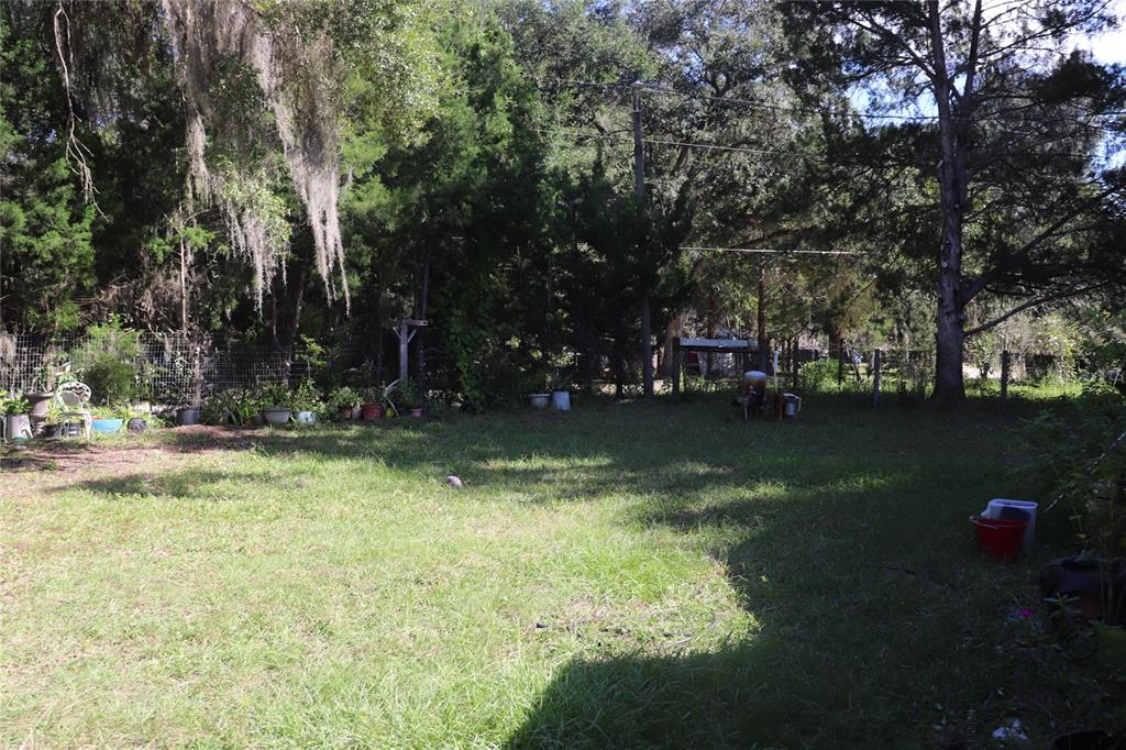 14150 Northeast 110th Avenue Road Fort McCoy, FL 32134 - Photo 10 of 15