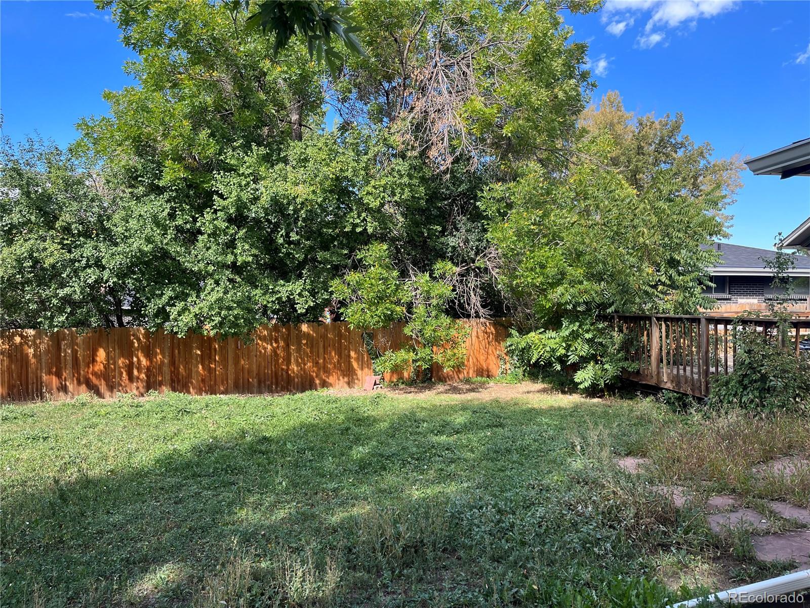 4315 Balsam Street, Unit A Wheat Ridge, CO 80033 - Photo 21 of 21 a view of green field with trees