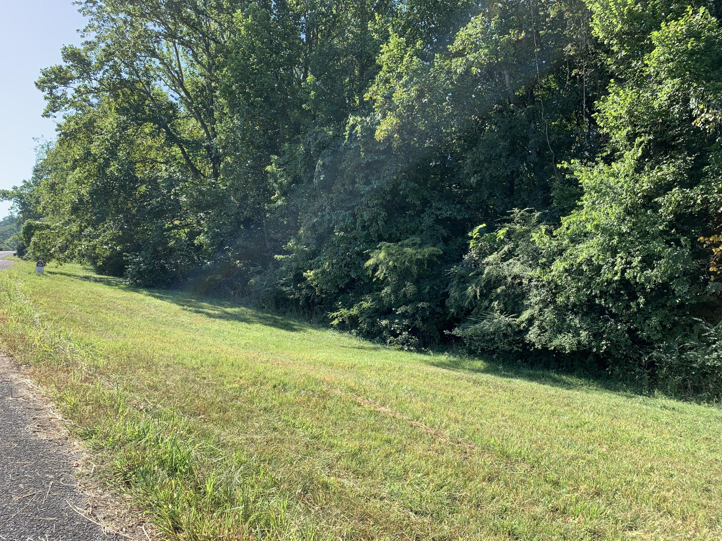 10 County Road 705 Riceville, TN 37370 - Photo 1 of 4 IMG_0601