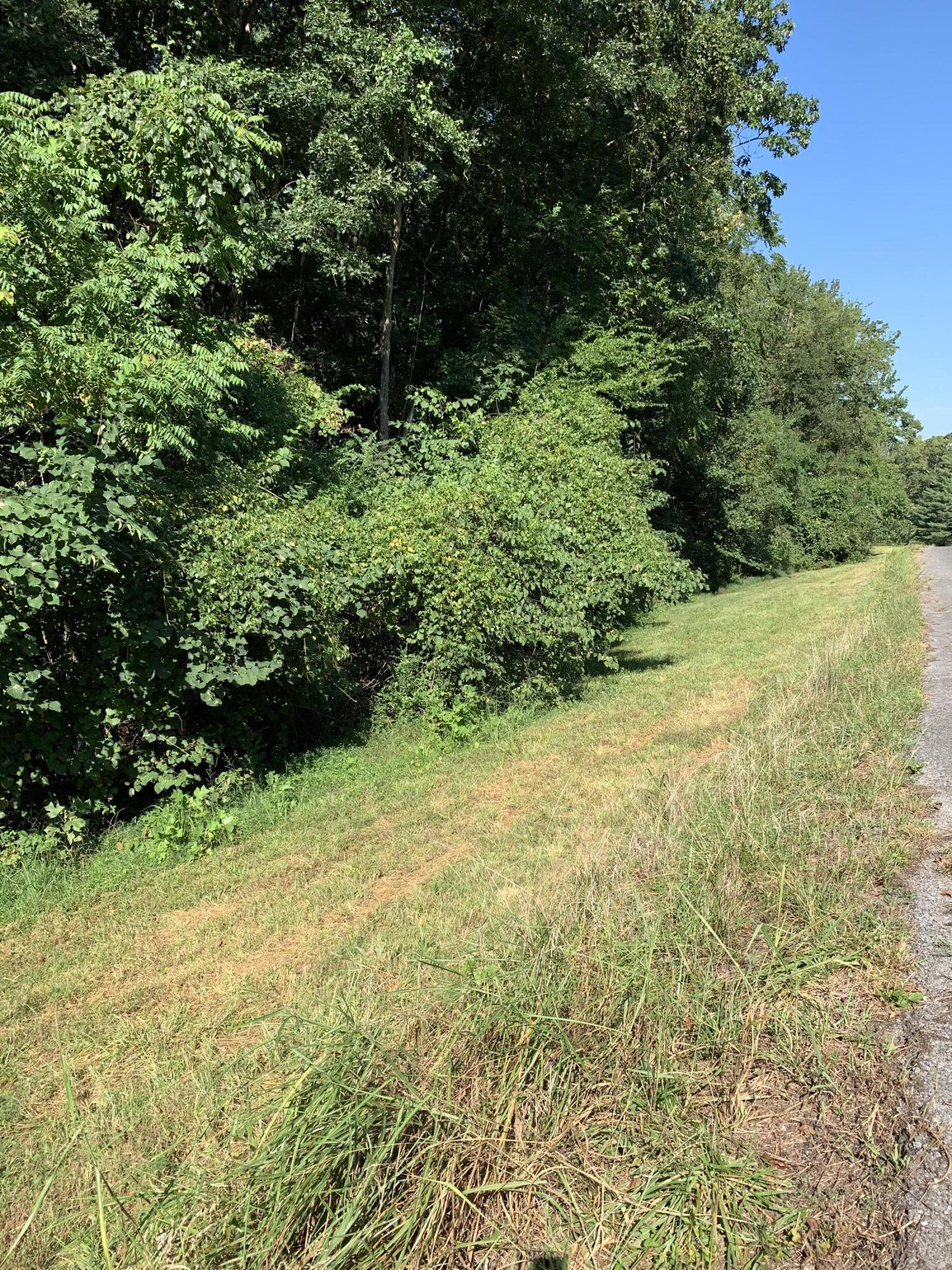 10 County Road 705 Riceville, TN 37370 - Photo 2 of 4 IMG_0600