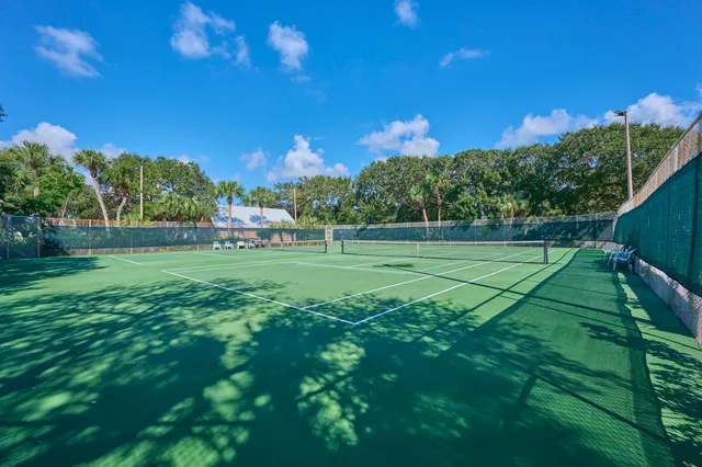 a view of a park with a tree